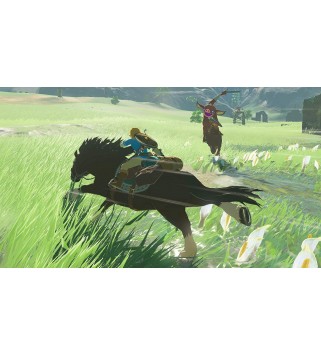 The Legend of Zelda: Breath of the Wild Switch (EU PEGI) (deutsch) [uncut]